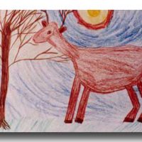 deer