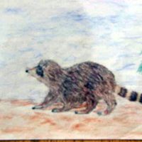 rhea_raccoon