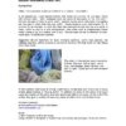 Second Grade Curriculum - Image 6