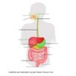 Seventh Grade Human Physiology Student Text - Image 2