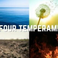 The Four Temperaments donna simmons